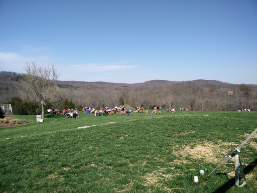 Winery «Balducci Vineyards», reviews and photos, 6601 S Missouri 94, Augusta, MO 63332, USA