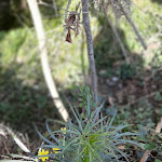 Photo n° 4 de l'avis de Nathalie.u fait le 21/02/2022 à 17:03 pour Le Viel Audon SCEA à Balazuc