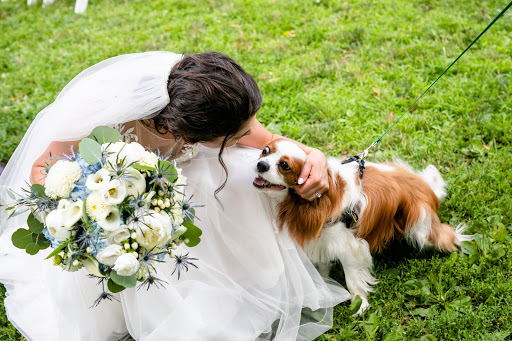 Florist «Brattle Square Florist», reviews and photos, 31 Brattle St, Cambridge, MA 02138, USA