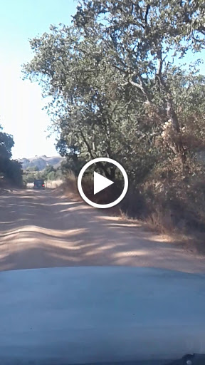 Law Firm «Linebarger Goggan Blair & Sampson, LLP», reviews and photos