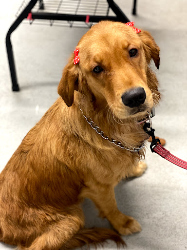 Pet Supply Store «Big Tex Feed & Pet Supply», reviews and photos, 7102 Cullen Blvd, Houston, TX 77021, USA