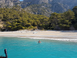 Balartı Plajı'in fotoğrafı uçurumlarla desteklenmiş