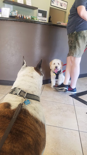 East Valley Pet Hospital