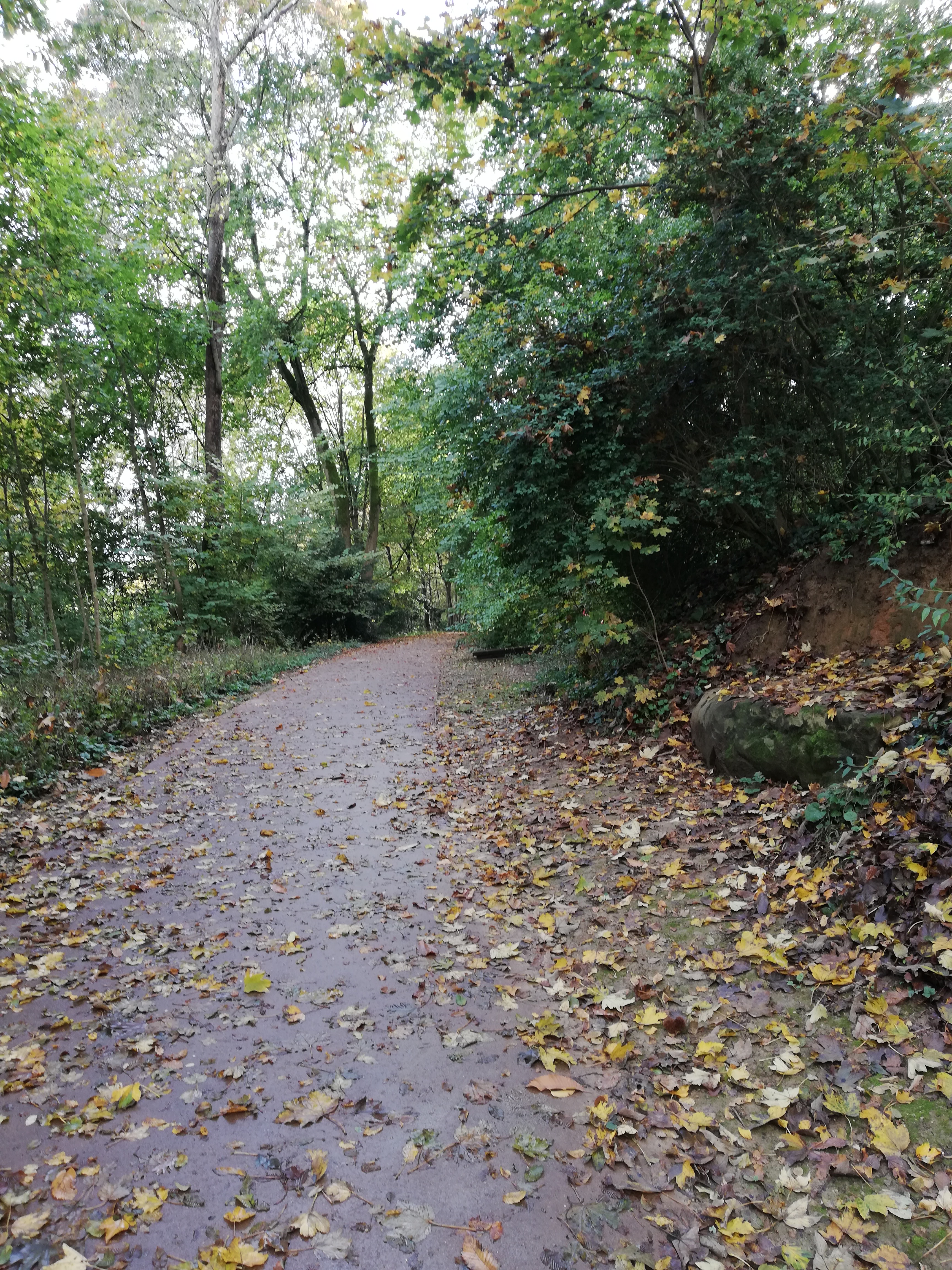 Photo n° 9 de l'avis de Alban.A fait le 01/11/2021 à 16:48