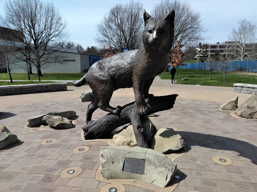 Art Museum «University of Kentucky Art Museum», reviews and photos, 405 Rose St, Lexington, KY 40508, USA