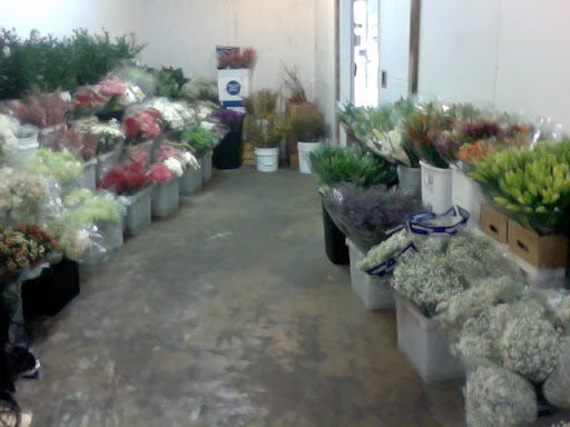 Florist «The Flower Place», reviews and photos, 860 NE 79th St, Miami, FL 33138, USA