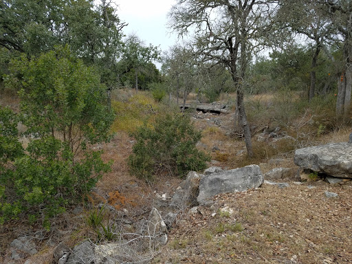 Nature Preserve «Bracken Cave Preserve (Bat Conservation International Inc Events)», reviews and photos, 26101 FM3009, San Antonio, TX 78266, USA