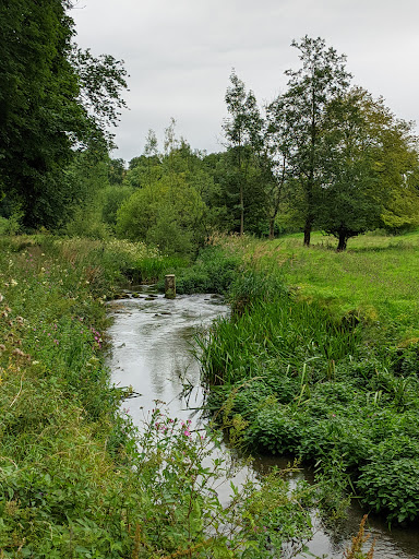 River Bradford