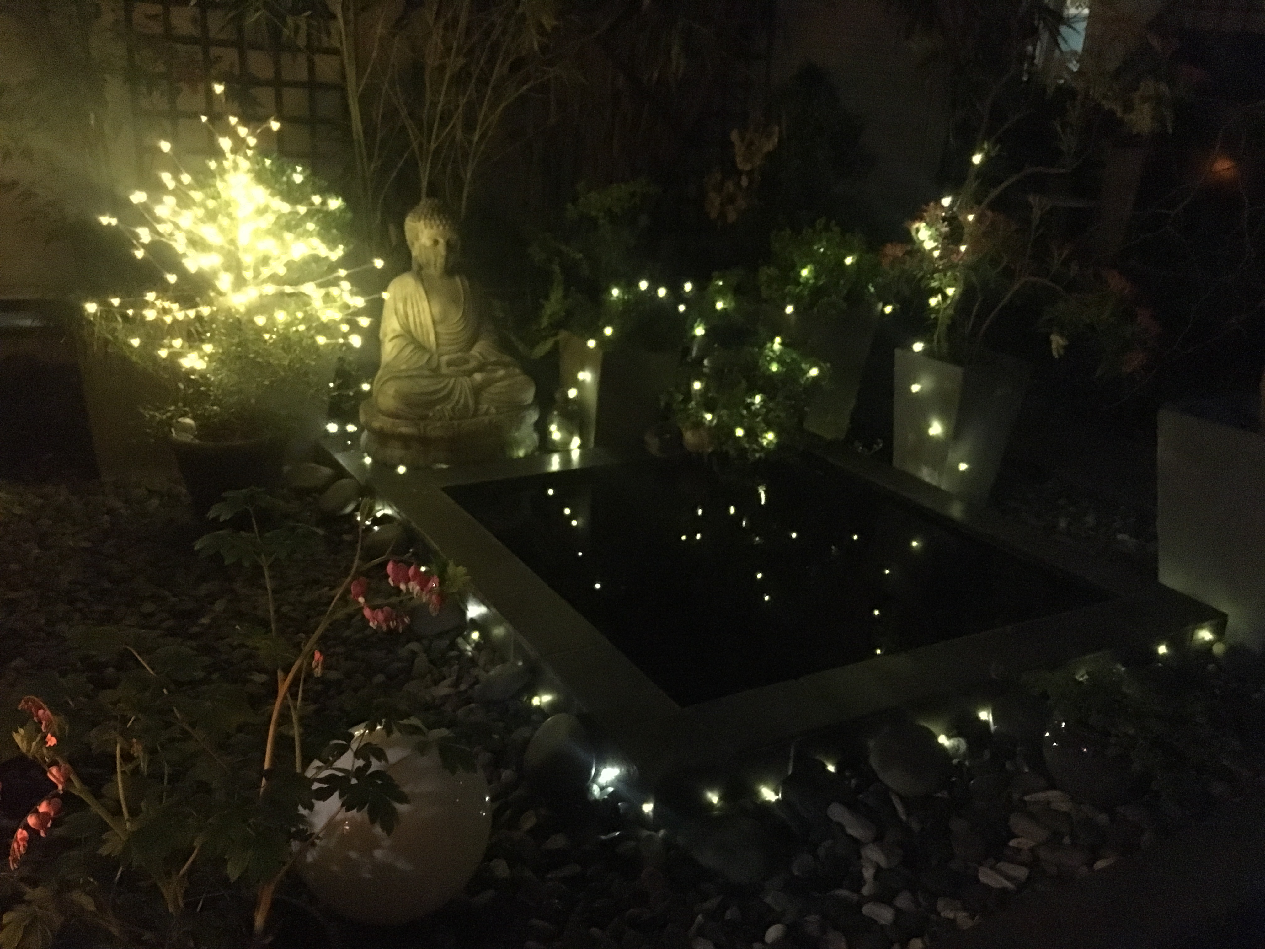 Photo n° 4 de l'avis de Vincent. fait le 27/03/2019 à 21:18