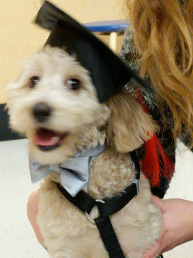 Pet Supply Store «PetSmart», reviews and photos, 3081 S 5600 W, Salt Lake City, UT 84120, USA