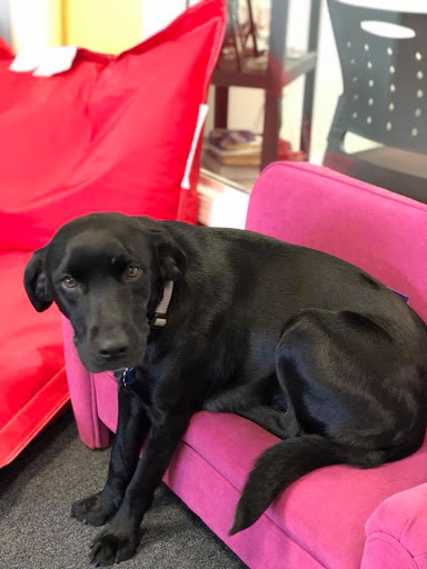 Insurance Agency «Allstate Insurance-Joe Schneider», reviews and photos