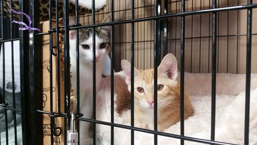 Pet Supply Store «Pet Valu», reviews and photos, 200 Biggs Blvd, Harrison, OH 45030, USA