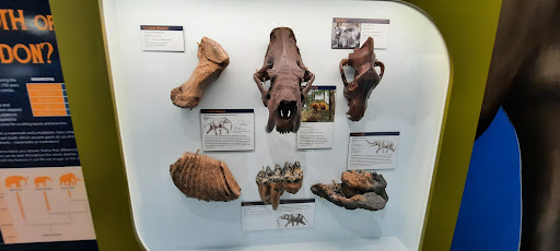 Museum «Museum», reviews and photos, 2142 Southern Dr, Statesboro, GA 30458, USA