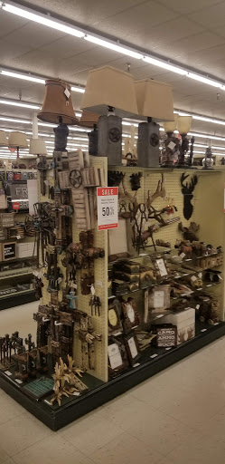 Craft Store «Hobby Lobby», reviews and photos, 1622 Florence Blvd, Florence, AL 35630, USA