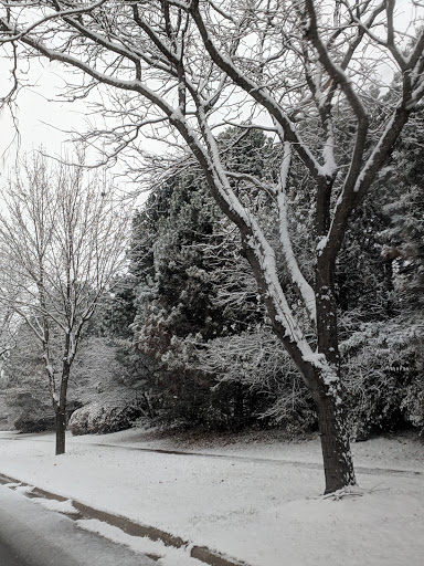 Country Club «Boulder Ridge Country Club», reviews and photos, 350 Boulder Dr, Lake in the Hills, IL 60156, USA