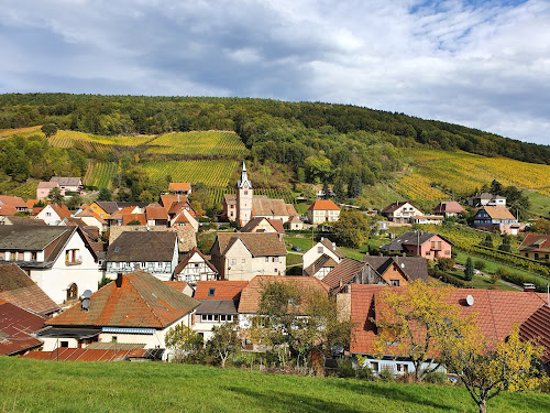 Domaine Borès Marie-Claire et Pierre - Vins d'Alsace Schieferberg à Reichsfeld