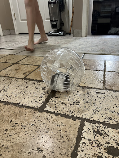 Pet Supply Store «Petco Animal Supplies», reviews and photos, 85 State St, Orem, UT 84058, USA