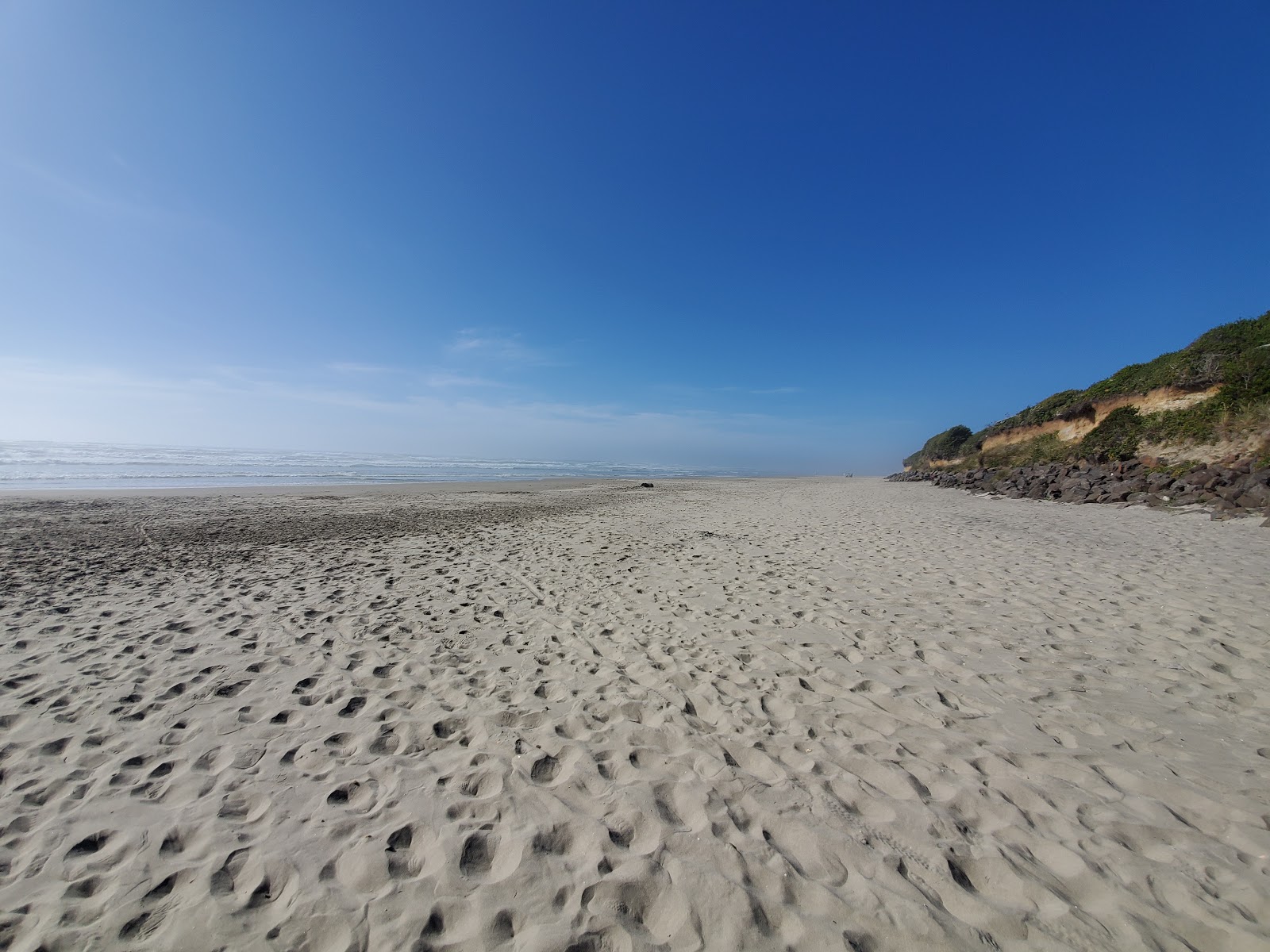 Foto de Tillicum Beach com alto nível de limpeza