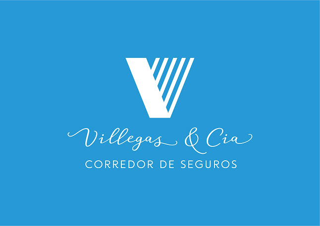 Hernán Villegas Corredor De Seguros - Andacollo