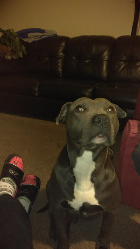 Bowling Alley «Madison Park Family Bowling Center», reviews and photos, 25023 John R Rd, Madison Heights, MI 48071, USA