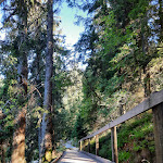 Photo n°3 de l'avis de Hfhjiujuf.g fait le 07/09/2023 à 13:01 sur le  Berghotel Mummelsee à Seebach