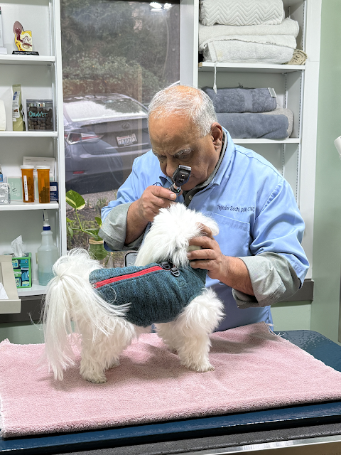 Animal Wellness and Rehabilitation Center