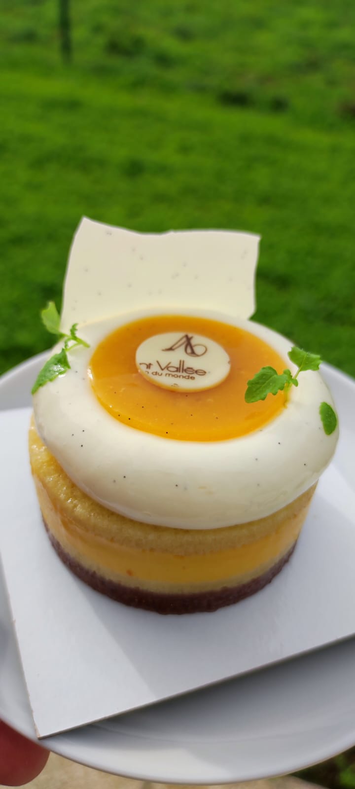 Photo n° 2 de l'avis de Missyaya. fait le 25/10/2022 à 15:12