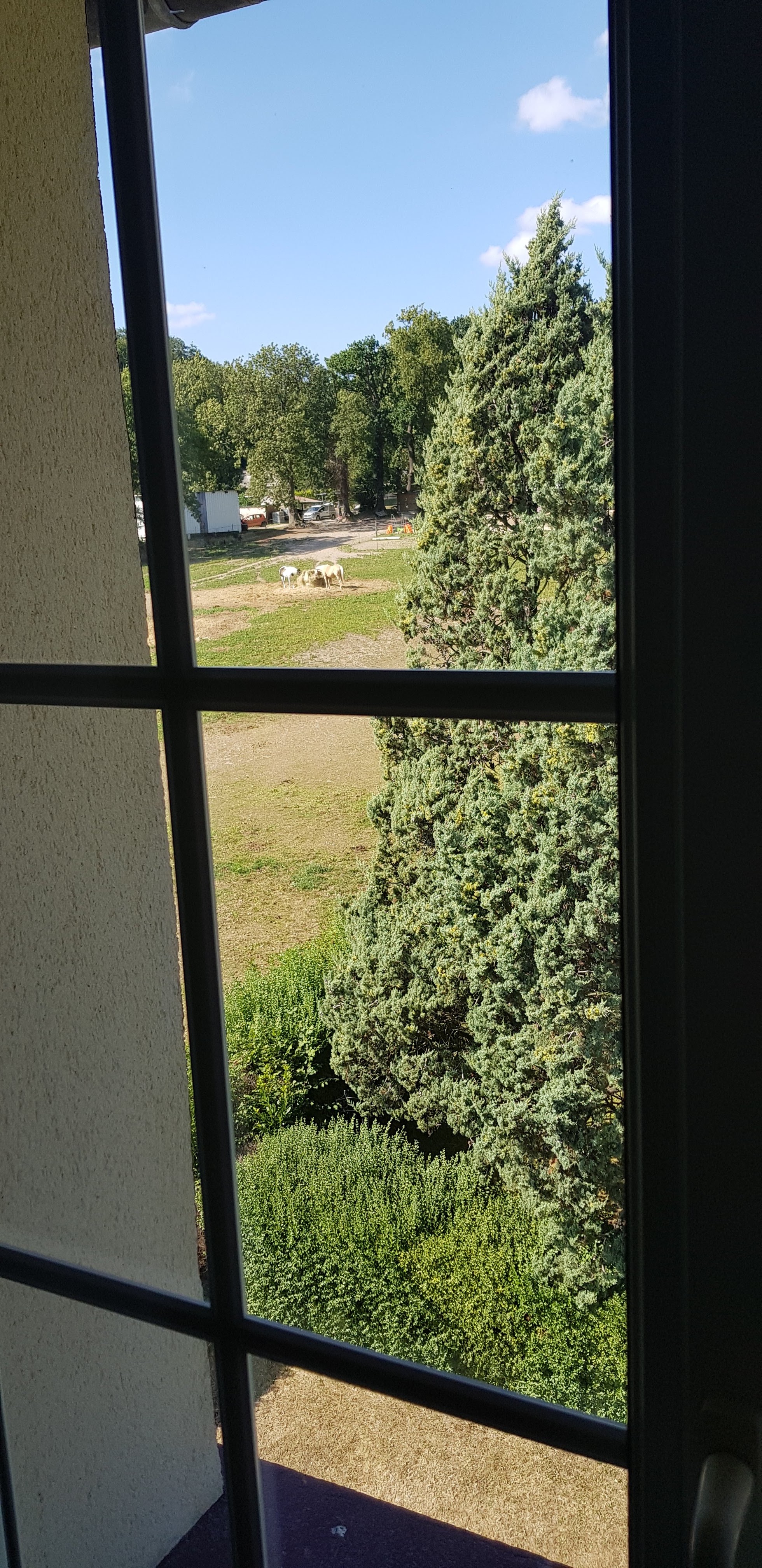 Photo n° 5 de l'avis de Natalia.a fait le 24/07/2020 à 12:23