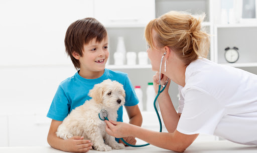 The Pet Hospital of Woodstock image