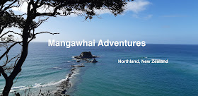 Mangawhai Adventures