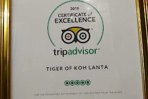 Tiger of Koh Lanta image
