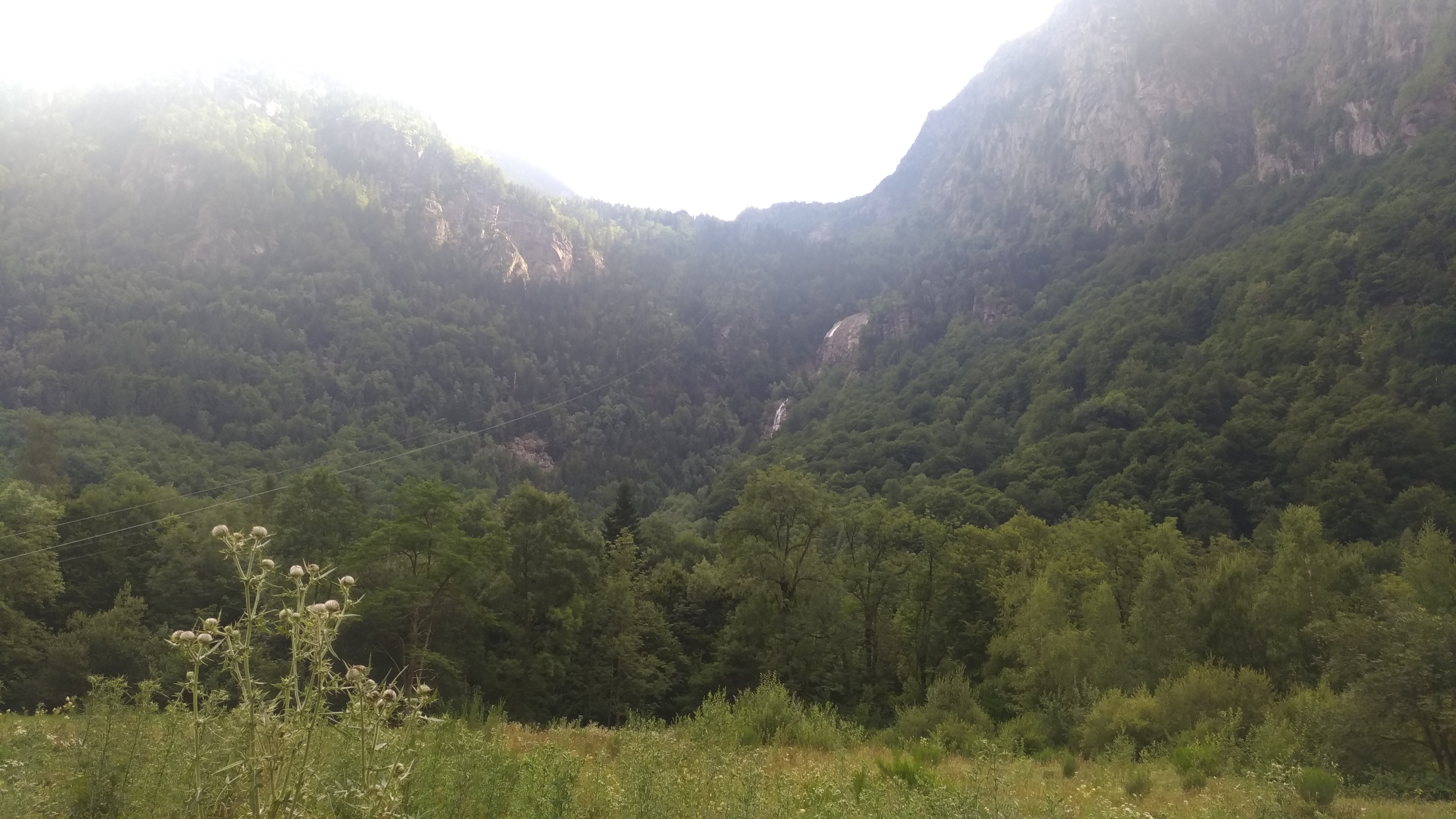 Photo n° 2 de l'avis de Virginie.H fait le 30/07/2019 à 23:50