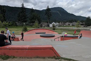 Webster Landing Skate Park image