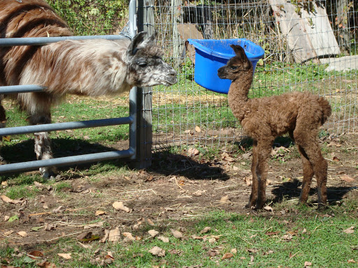 Animal Feed Store «Melzen Pet Supply», reviews and photos, 100 Oak St, Glastonbury, CT 06033, USA