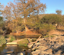 Manantial Los Sabinos photo