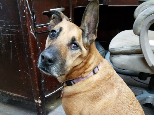 Used Furniture Store «C&D Second Chance», reviews and photos, 201 N Poplar Ave, Sanford, FL 32771, USA