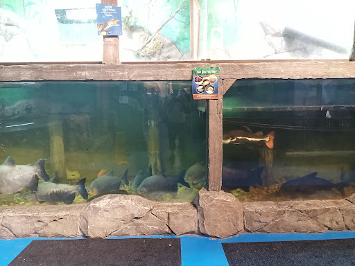 Aquarium «SeaQuest Interactive Aquarium», reviews and photos, 1201 N Hill Field Rd #1072, Layton, UT 84041, USA