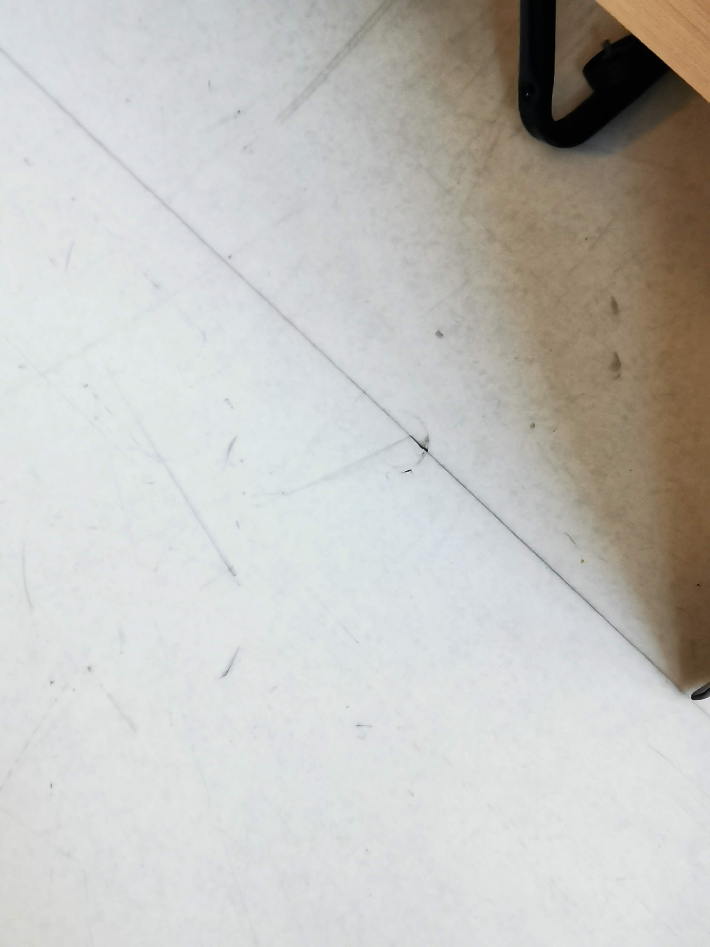 Photo n° 17 de l'avis de Martin.m fait le 10/03/2021 à 11:13