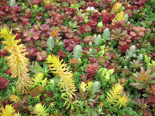 Roofing Contractor «Element Smart Roofing», reviews and photos, 1813 130th Ave NE #110, Bellevue, WA 98005, USA