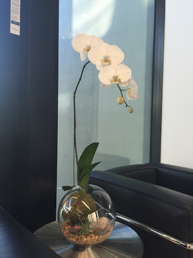 Florist «Formaneta», reviews and photos, 939 Crandon Blvd, Key Biscayne, FL 33149, USA