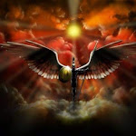 Photo n°1 de l'avis de DOMINIK.A fait le 08/07/2019 à 00:36 sur le  Il Dante à Cagliari