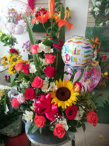 JARDIN TROPICAL - Sogamoso