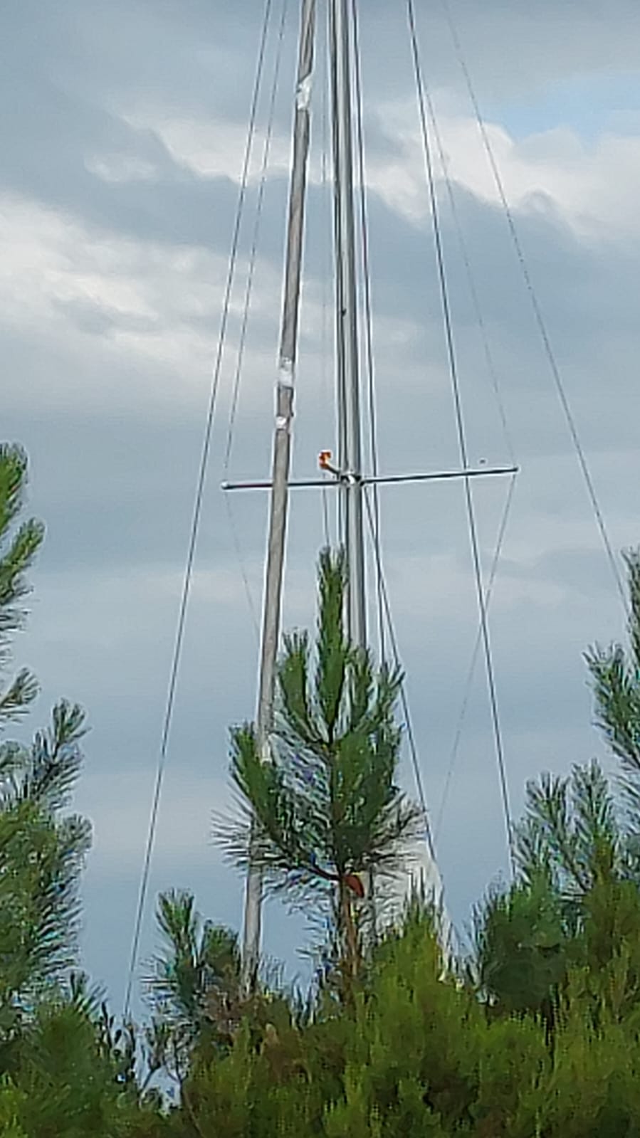 Photo n° 3 de l'avis de Mapi.a fait le 18/07/2023 à 10:49