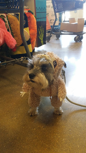 Pet Supply Store «PetSmart», reviews and photos, 4794 Jimmy Lee Smith Pkwy #108, Hiram, GA 30141, USA