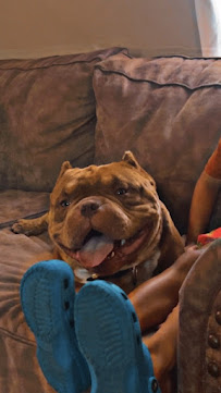 THE BULLY STOP SOUTHSIDE - Photo 7 - Car repair in Fort Worth, TX, Fort Worth