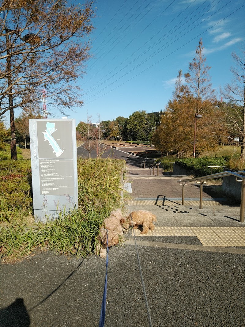 緑の散歩道 千葉県印西市内野 公園 グルコミ