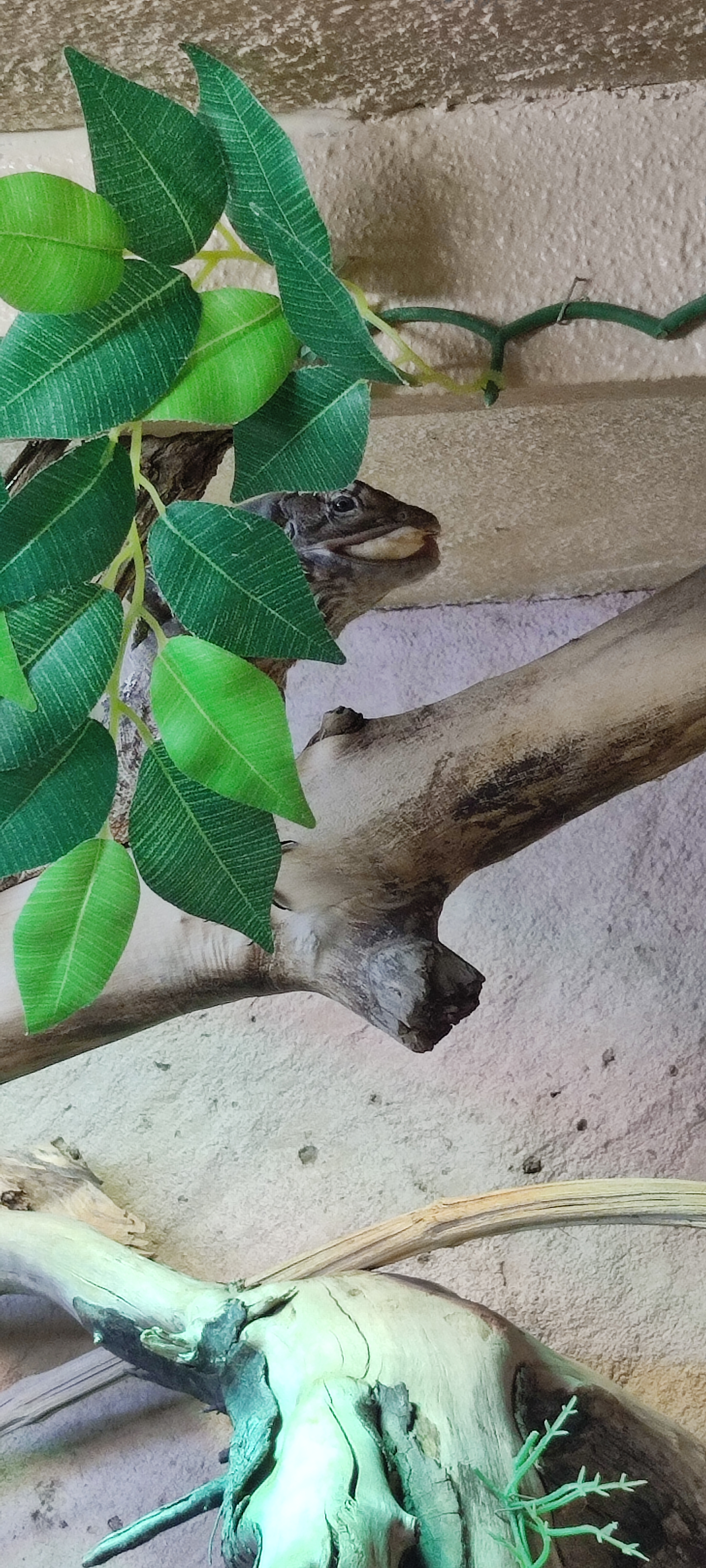 Photo n° 15 de l'avis de Yannick.o fait le 11/02/2023 à 16:29