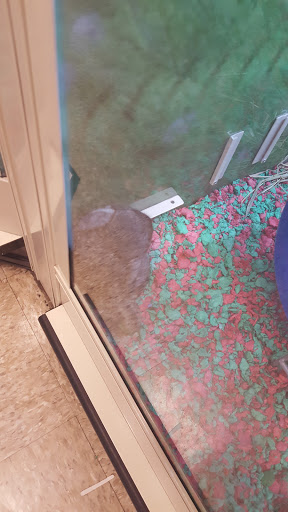 Pet Supply Store «PetSmart», reviews and photos, 1559 Merritt Blvd, Dundalk, MD 21222, USA