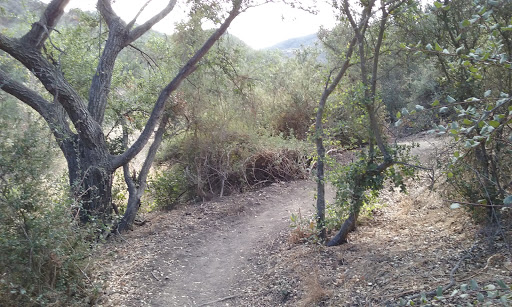 Conejo Canyons Open Space