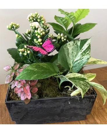 Florist «Penguin Flowers», reviews and photos, 2465 NW Monroe Ave, Corvallis, OR 97330, USA